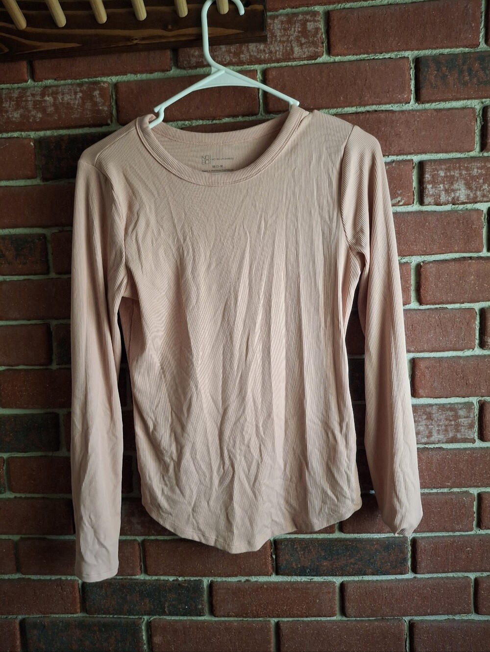 No Boundaries Long Sleeve Crewneck Top in Dusty Pink
